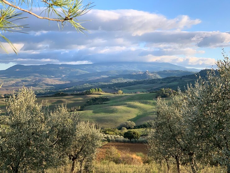 Esperienze gastronomiche italiane